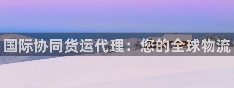 尊龙人生就是博官方官网：国际协同货运代理：您的全球物流